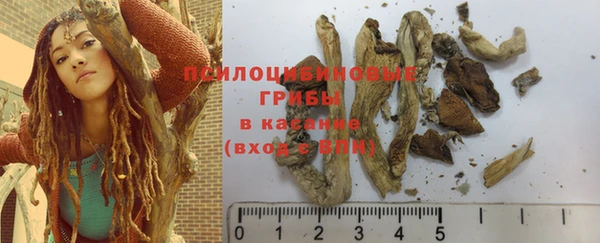 крисы Алексин