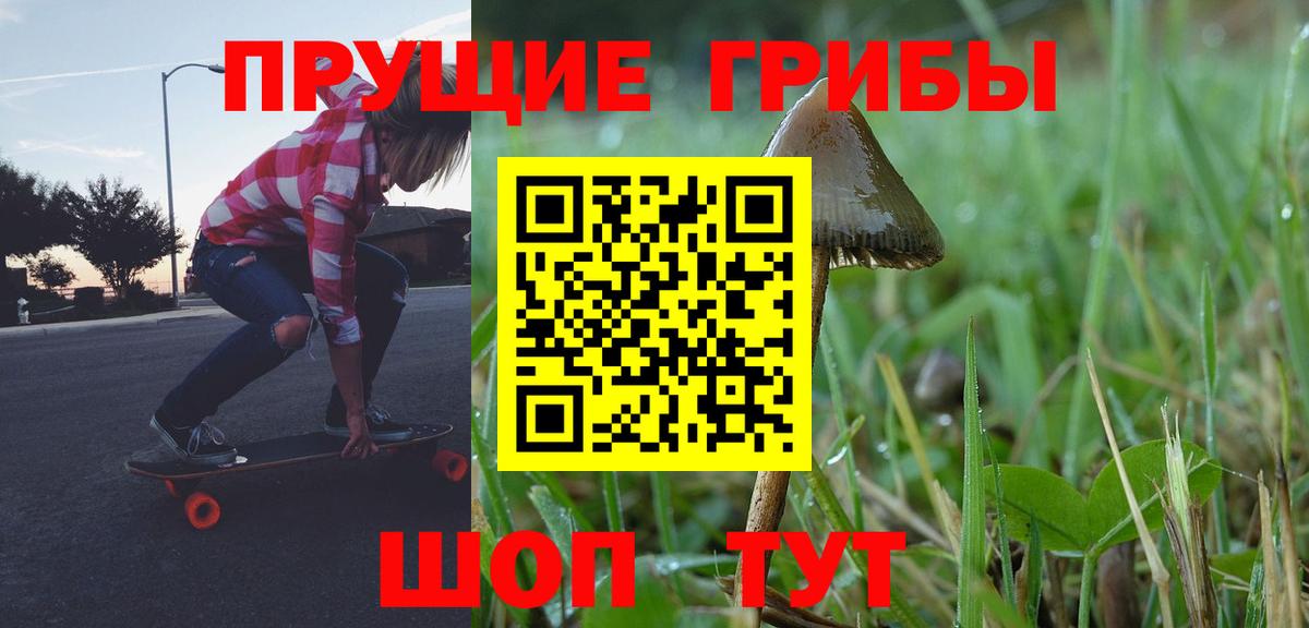 Галлюциногенные грибы Psilocybine cubensis  Галлюциногенные грибы MAGIC MUSHROOMS  Вход с VPN  Дедовск 